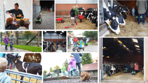 collage familiedag 2019